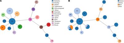 Antimicrobial Resistance Profiles of Non-typhoidal Salmonella From Retail Meat Products in California, 2018